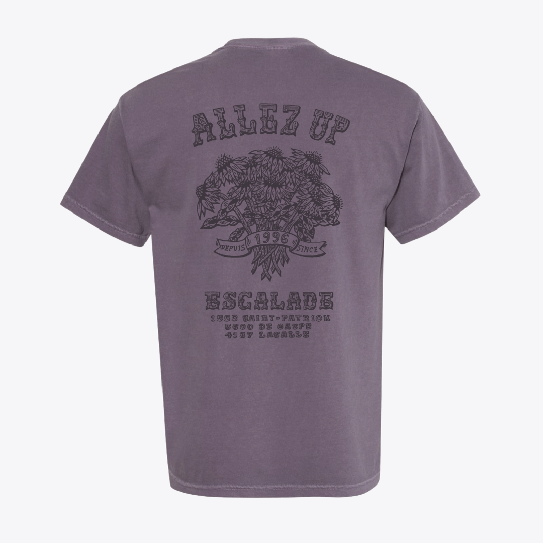 Coneflowers T-Shirt