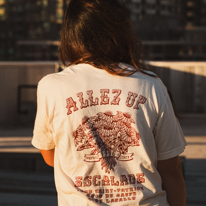 Coneflowers T-Shirt